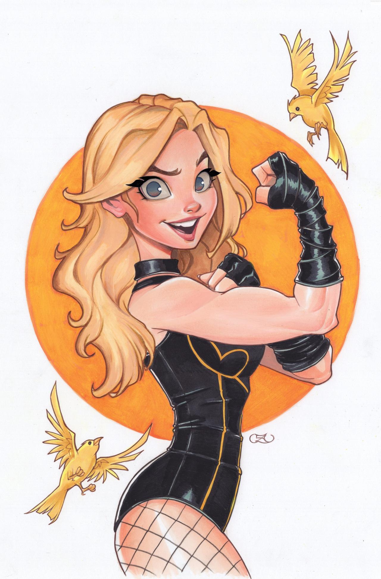 Chrissie Zullo, DC Comics