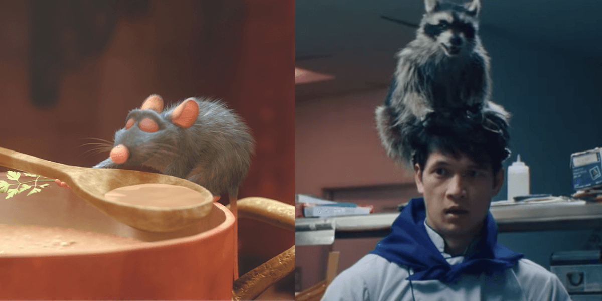 Ratatouille and Racaccoonie