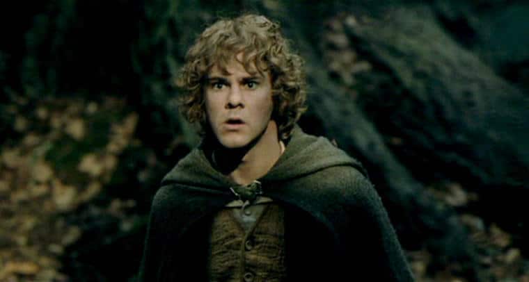 A still of Dominic Monaghan as Merry in Lord of the Rings.