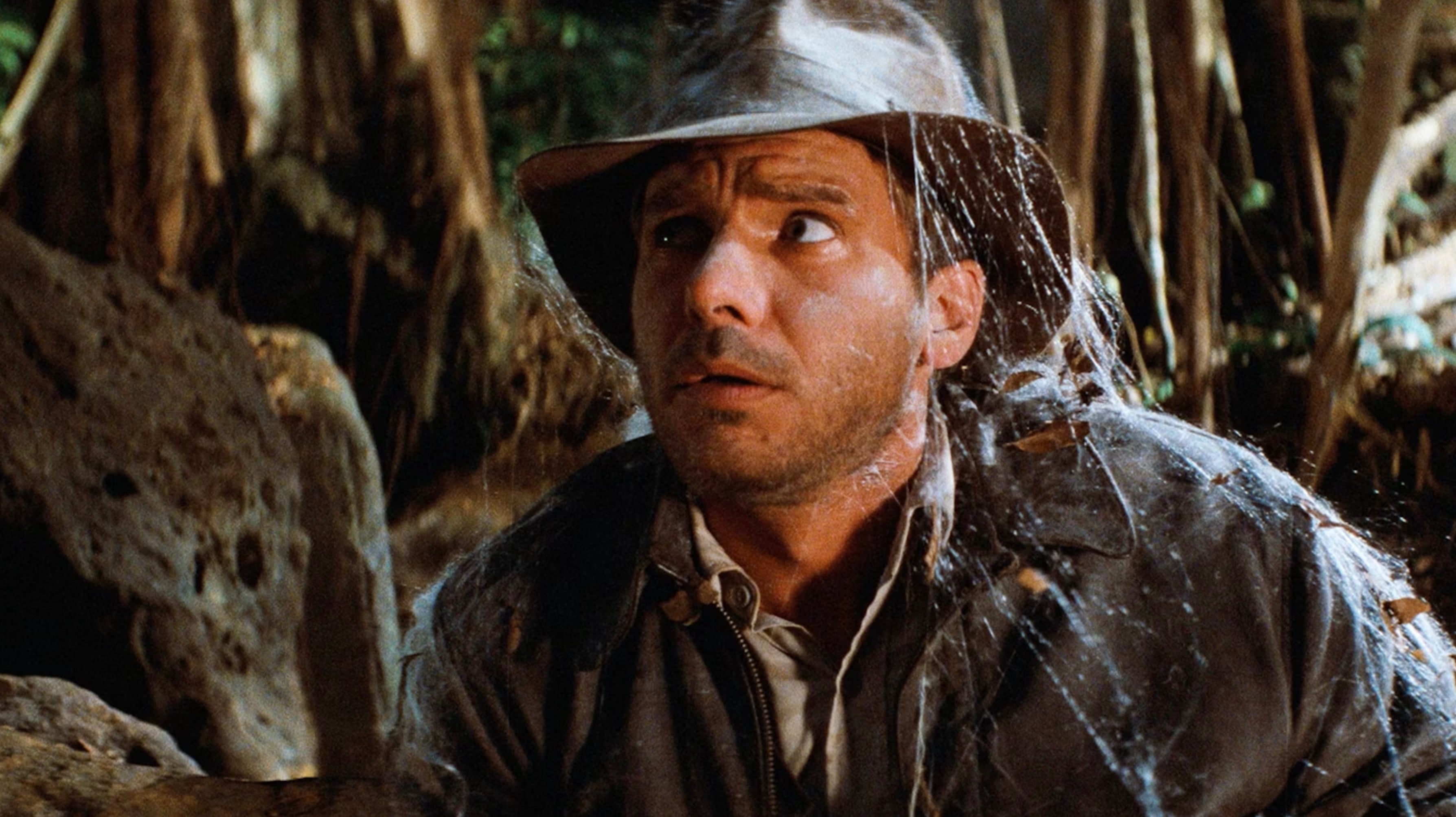 Harrison Ford in Raiders of the Lost Ark