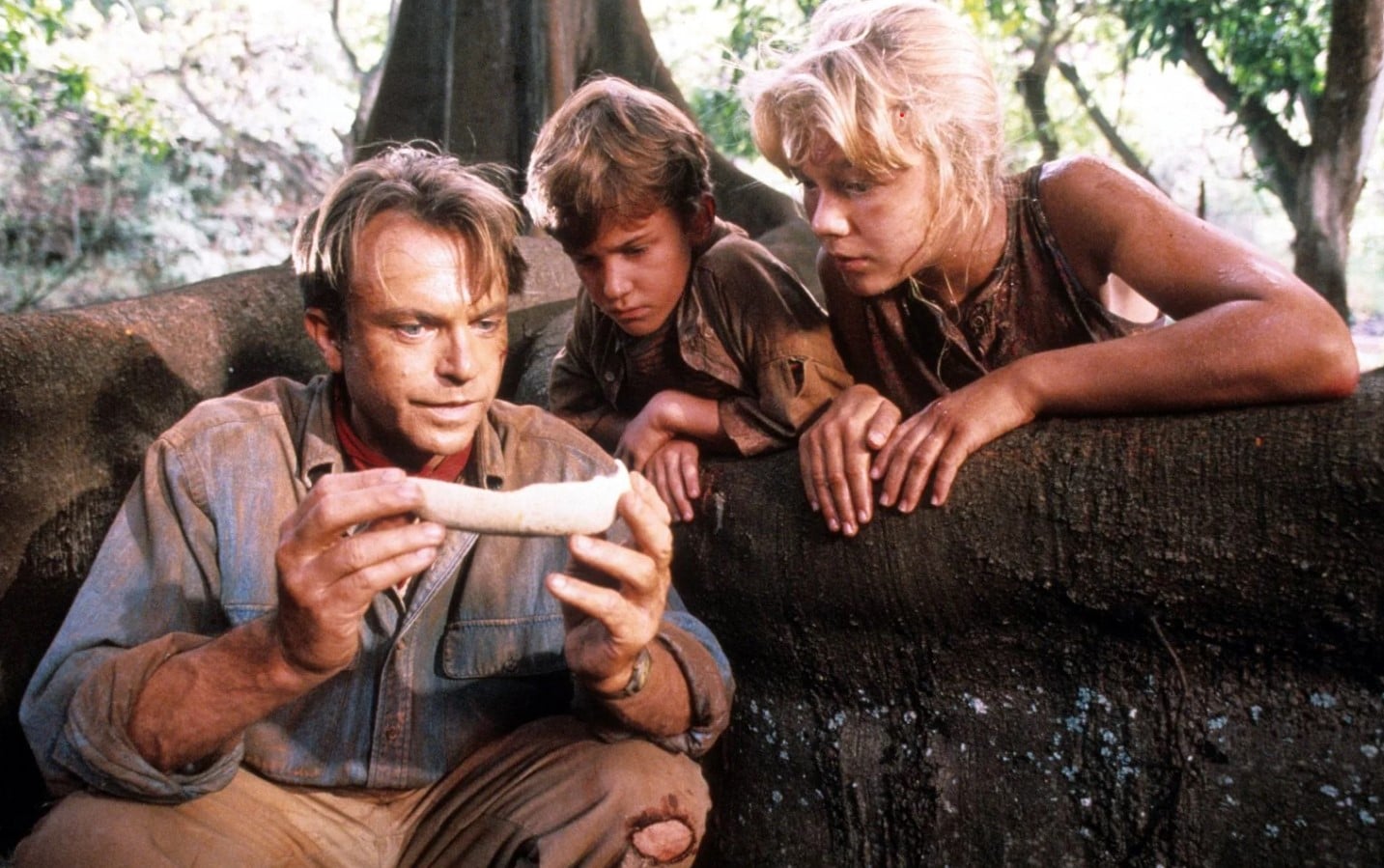 A still from Jurassic Park