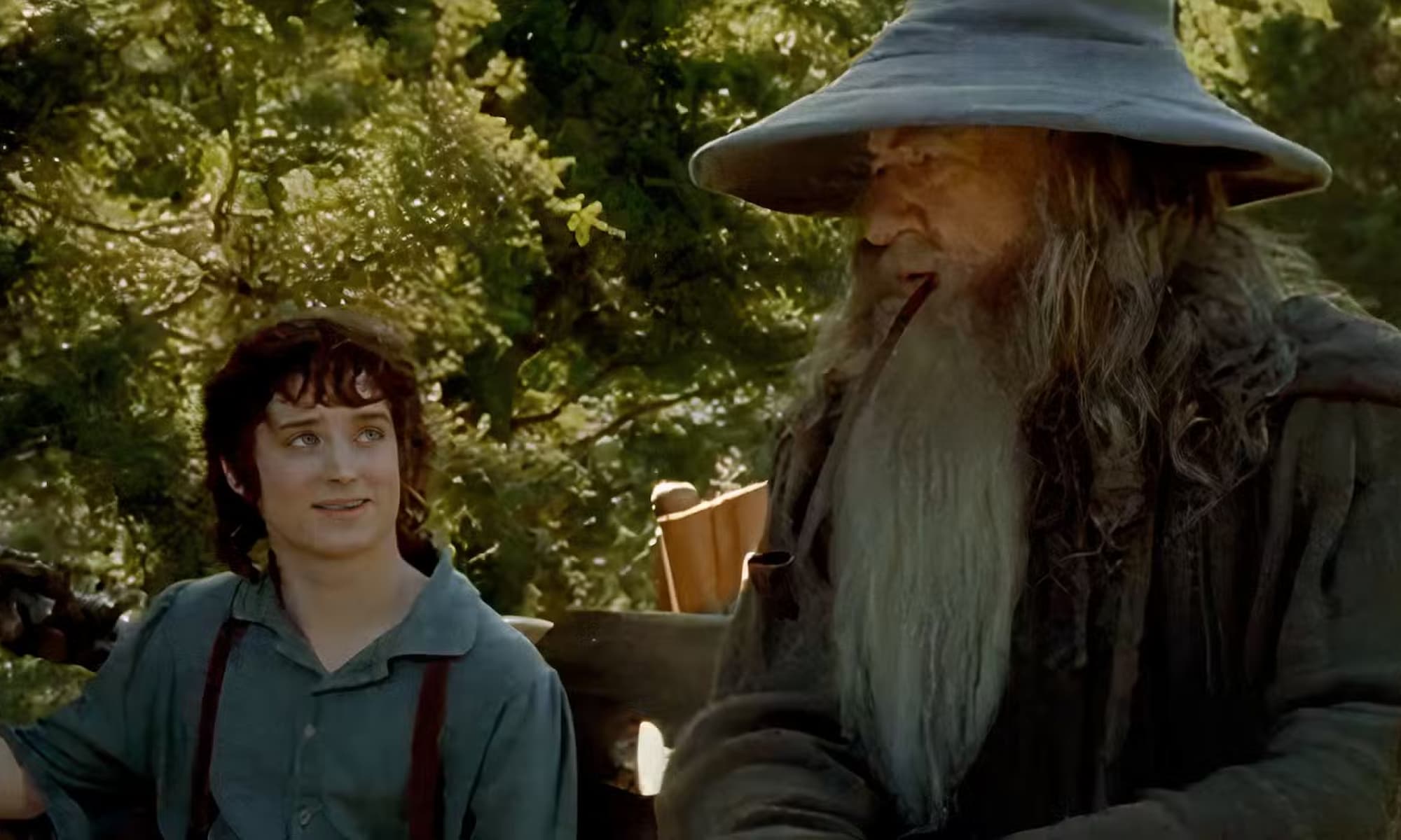 Lord Of The Rings Frodo And Gandalf