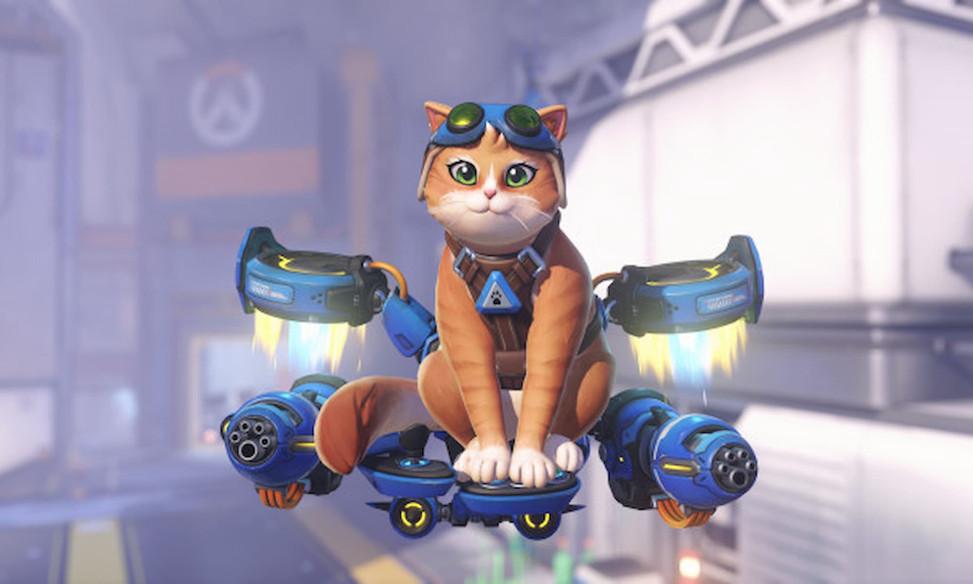 Overwatch New Character Cat