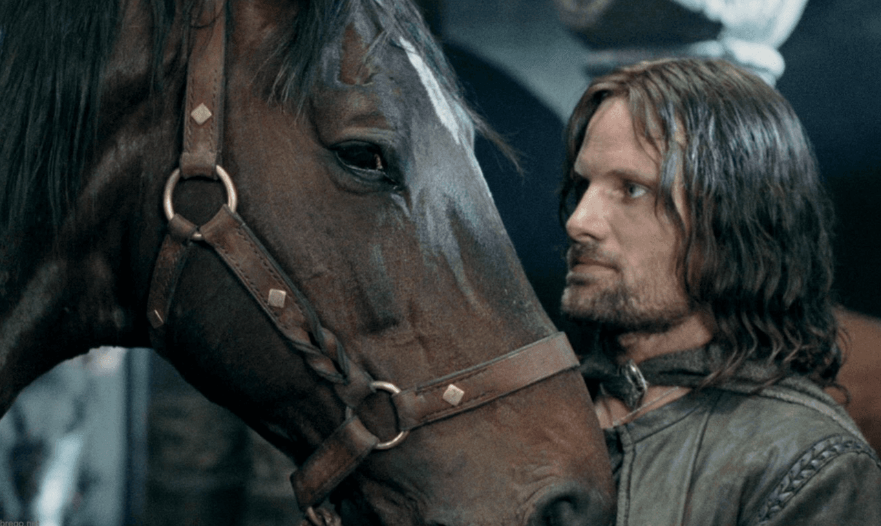Viggo Mortensen Lord Of The Rings The Two Towers Helms Deep Brego